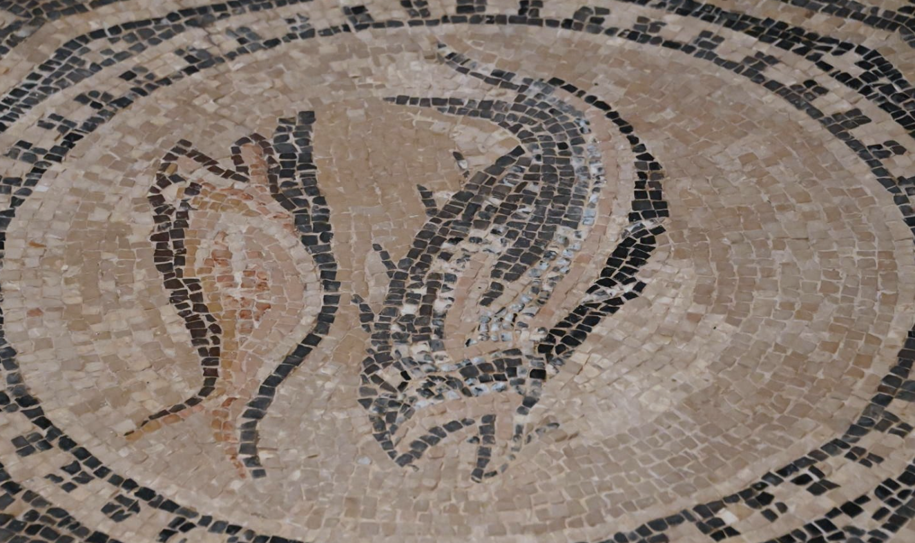 Early Christian symbols from the Megiddo mosaic